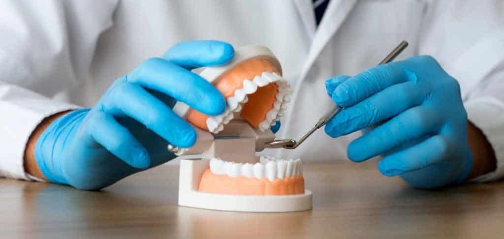 Gloved hands holding a dental model and mirror