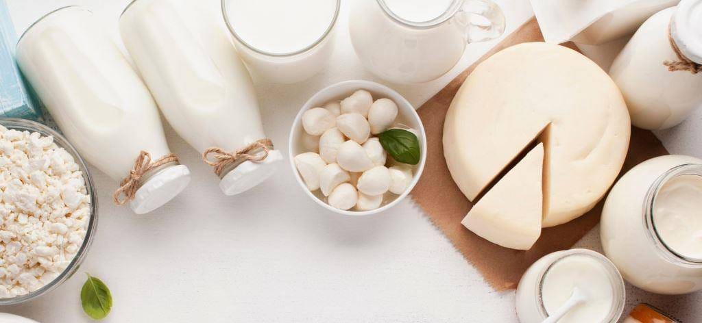 Milk, cheese and other dairy foods on a light surface