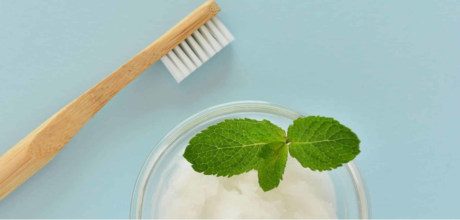 A toothbrush beside a bowl, mint and a white paste