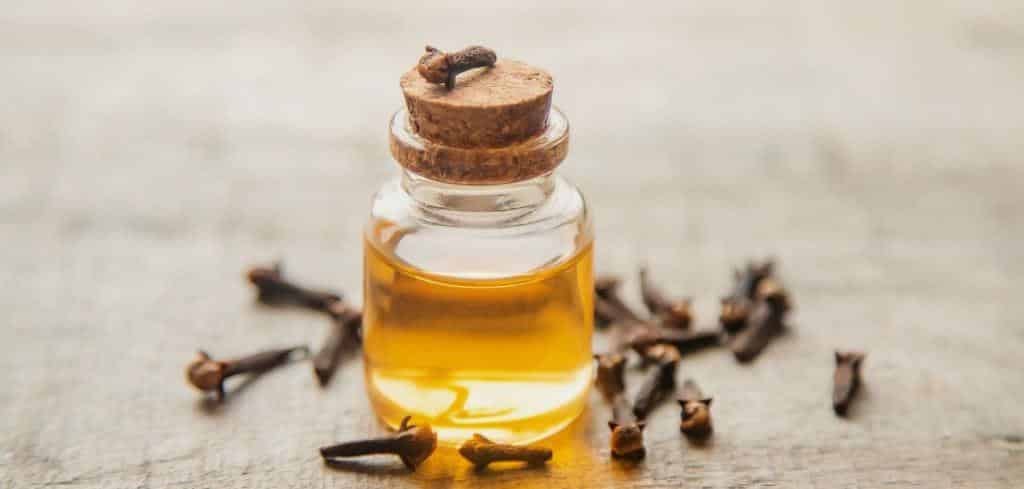 A bottle of oil beside dried cloves