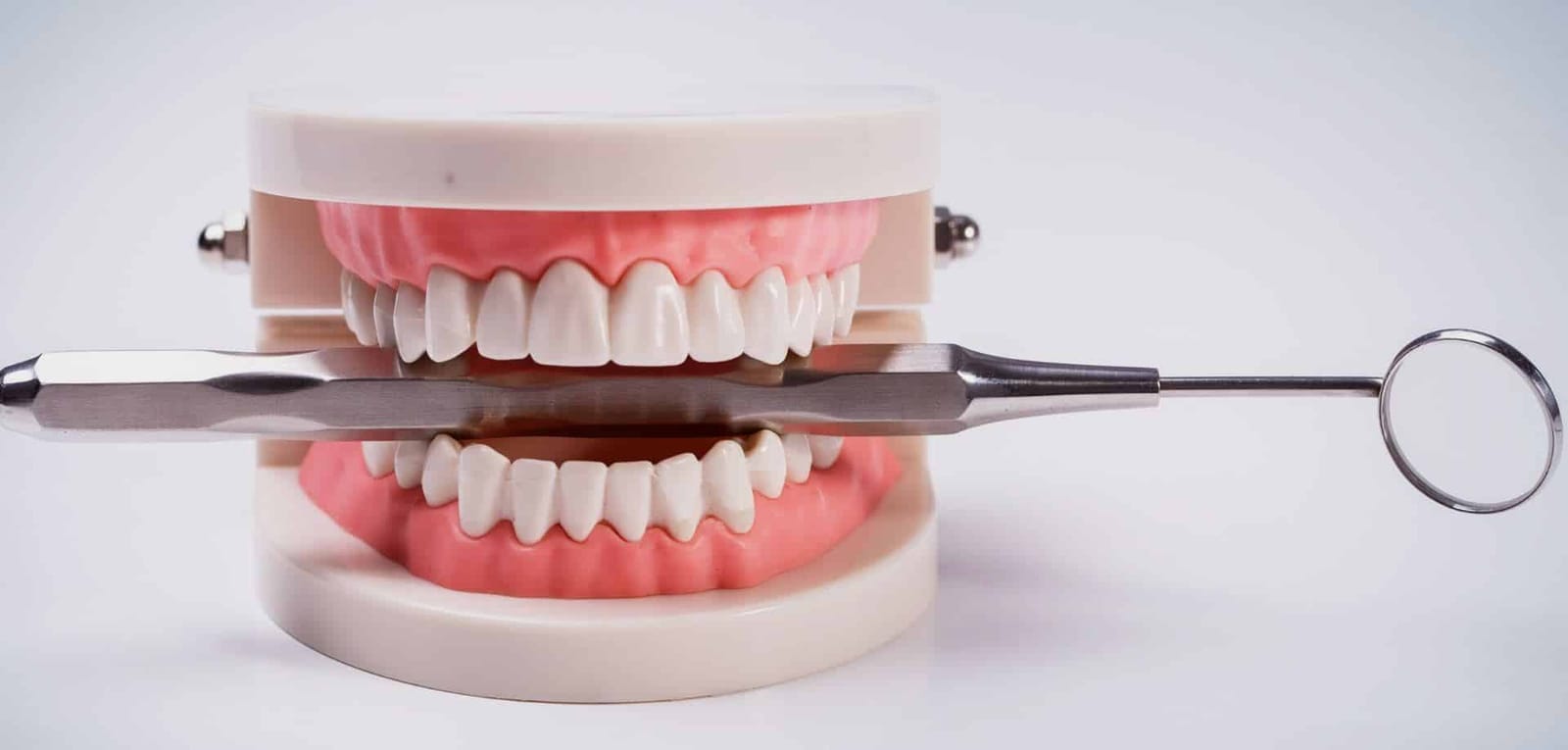 Tooth model with a dental mirror and instrument
