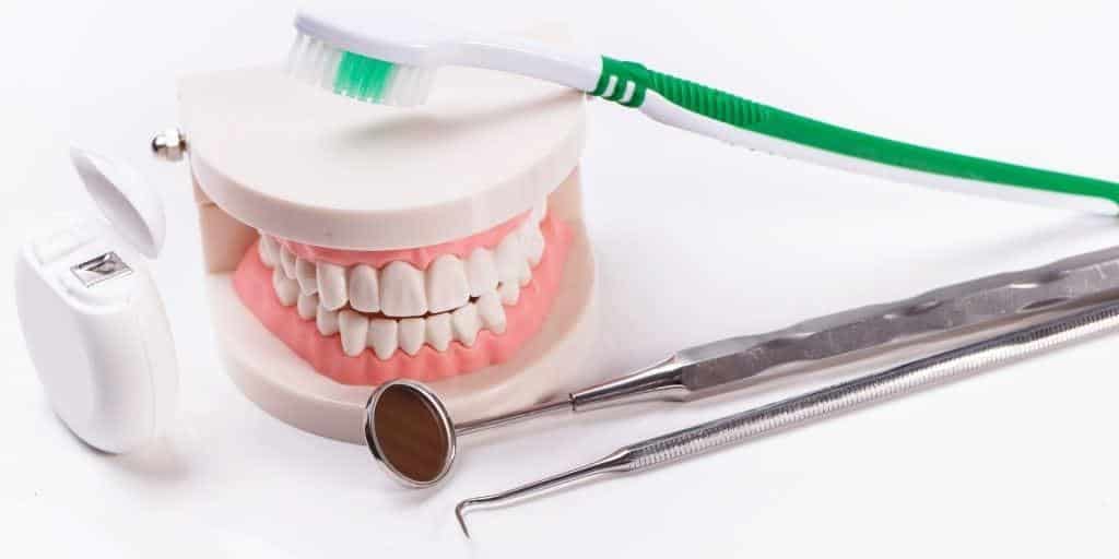 Model of teeth with a toothbrush, floss and dental instruments