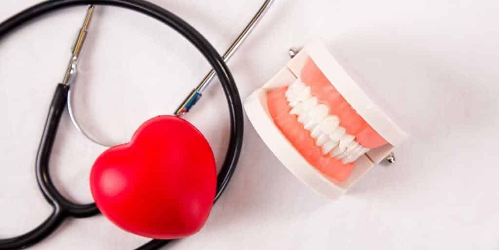 Stethoscope and red heart beside a model of teeth