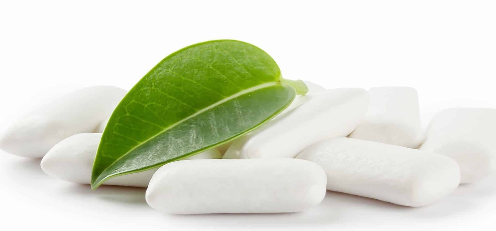 White chewing gum pieces beside green leaves