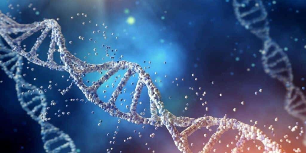 Illustration of DNA double helices