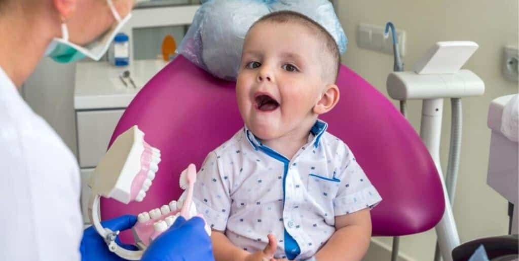 A young child looking at a model of teeth during a dental visit