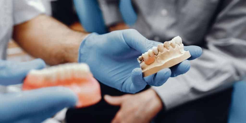 Gloved hands holding dental models during a consultation