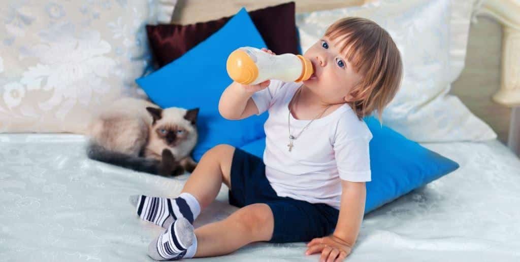 A child drinking from a bottle while sitting beside a cat