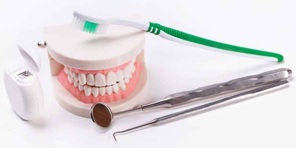Dental model with a toothbrush, floss and examination instruments