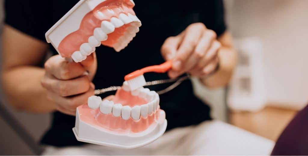 Toothbrushing being demonstrated on a dental model