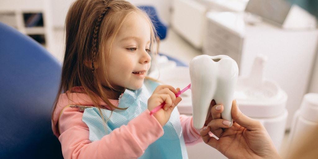 A child practising brushing on a large tooth model