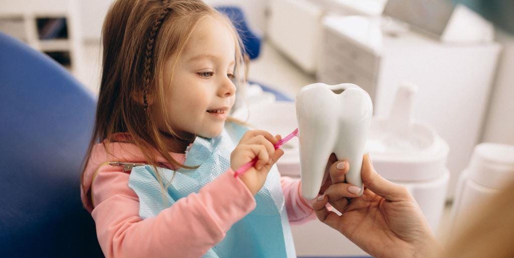 A young child practising brushing on a model of teeth