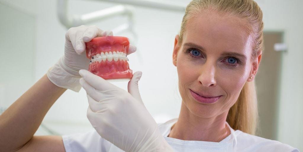 A dental professional holding a model of teeth and gums