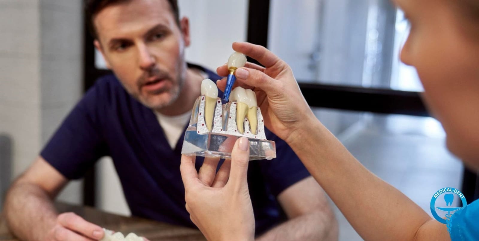 A dental model being shown during a consultation