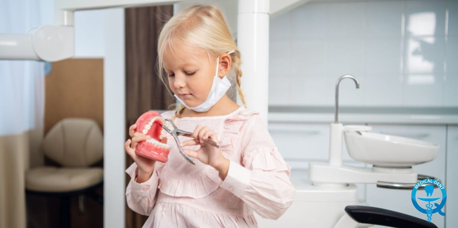A girl looking at a dental model and instrument